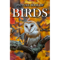Birds: Picture Books For Adults With Dementia And Alzheimers Patients - Colourful Photos Of Birds With Their Names - Paperback