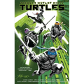 Teenage Mutant Ninja Turtles, Vol. 1: Return to New York - Paperback