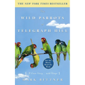 The Wild Parrots of Telegraph Hill: A Love Story . . . with Wings - Paperback