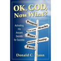 OK, God, Now What? - Paperback