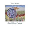 Snail Mail Cursive - Paperback