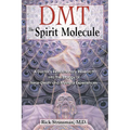 Dmt: The Spirit Molecule: A Doctor's Revolutionary Research Into the Biology of Near-Death and Mystical Experiences - Paperback