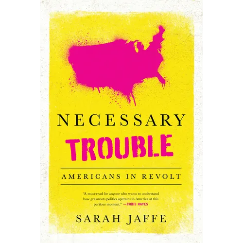 Necessary Trouble: Americans in Revolt - Paperback