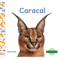 Caracal (Caracals) - Library Binding