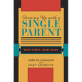 Growing Up with a Single Parent: What Hurts, What Helps - Paperback