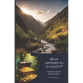 What happened to my bounty?: An inspiring story about the art of risk management according to ISO 31000 - Paperback