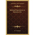 Spiritual Experiences in Business Life - Hardcover