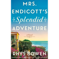 Mrs. Endicott's Splendid Adventure - Paperback