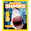 National Geographic Kids Everything Sharks - Paperback