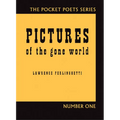Pictures of the Gone World - Paperback