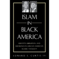 Islam in Black America: Identity, Liberation, and Difference in African-American Islamic Thought - Paperback