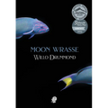 Moon Wrasse - Paperback