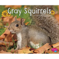 Gray Squirrels - Paperback