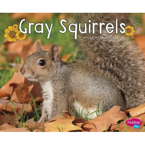 Gray Squirrels - Paperback