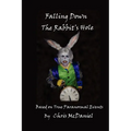 Falling Down The Rabbit's Hole: Based on True Paranormal Events - Paperback