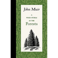 A Wind-Storm in the Forests - Hardcover