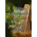 After Work: Céline Condorelli - Paperback