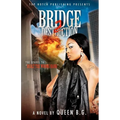 Bridge 2 Destruction: The Sequel To Dealt the Wrong Hand - Paperback