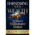 Harnessing Your Wealth: The Pursuit of Millionaire Status - Paperback