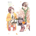 A Condition Called Love 12 - Paperback