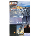 I Promise My Sky Isn't Always Falling - Paperback