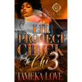 Lil Project Chick From The Chi 3: The Finale - Paperback