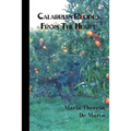 Calabrian Recipes from the Heart - Paperback