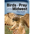 Birds of Prey of the Midwest - Paperback