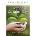 Beyond Sustainability: Authentic Living at a Time of Climate Crisis - Paperback