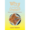 Why Is Everything Undid?: Diary of the First Year of Divorce - Paperback