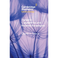 Dynamic Capabilities and Related Paradigms - Paperback