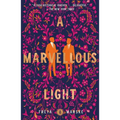 A Marvellous Light - Paperback