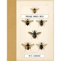 Vintage Prints: Bees - Paperback