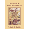 Wild Life in Woods and Fields (Yesterday's Classics) - Paperback