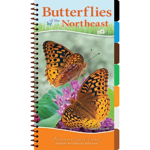 Butterflies of the Northeast: Identify Butterflies with Ease - Spiral