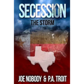 Secession: The Storm - Paperback