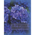 My Family Tree & Genealogy Charts - Paperback