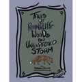 Tales of Raincliffe Woods: An Unexpected Storm - Paperback
