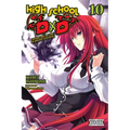 High School DXD, Vol. 10 (Light Novel): Lionheart of the Academy Festival Volume 10 - Paperback