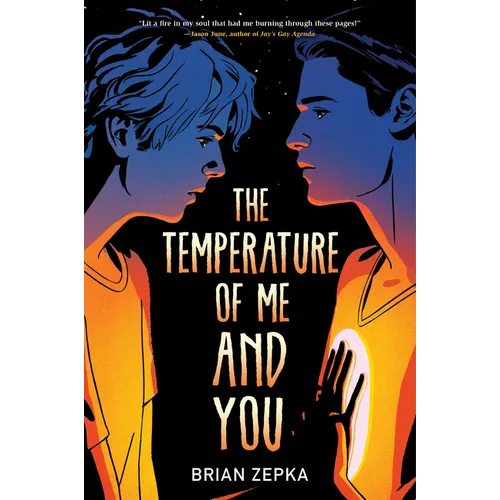 The Temperature of Me and You - Paperback