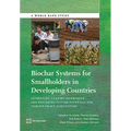 Biochar Systems for Smallholders in Developing Countries: Leveraging Current Knowledge and Exploring Future Potential for Climate-Smart Agriculture - Paperback