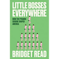Little Bosses Everywhere: How the Pyramid Scheme Shaped America - Hardcover