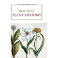 Practical Plant Anatomy - Hardcover