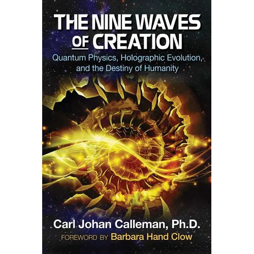 The Nine Waves of Creation: Quantum Physics, Holographic Evolution, and the Destiny of Humanity - Paperback