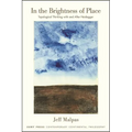 In the Brightness of Place: Topological Thinking with and After Heidegger - Paperback