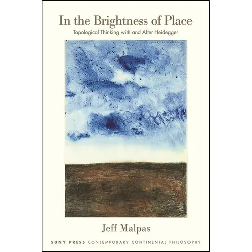 In the Brightness of Place: Topological Thinking with and After Heidegger - Paperback