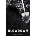 Blowdown - Paperback