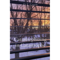 Catastrophizing in Catastrophe: Poems - Paperback