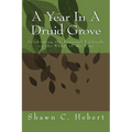 A Year In A Druid Grove: Celebrating the Seasonal Festivals on the Wheel of the Year - Paperback