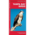 Tampa Bay Birds: A Folding Pocket Guide to Familiar Species - Hardcover